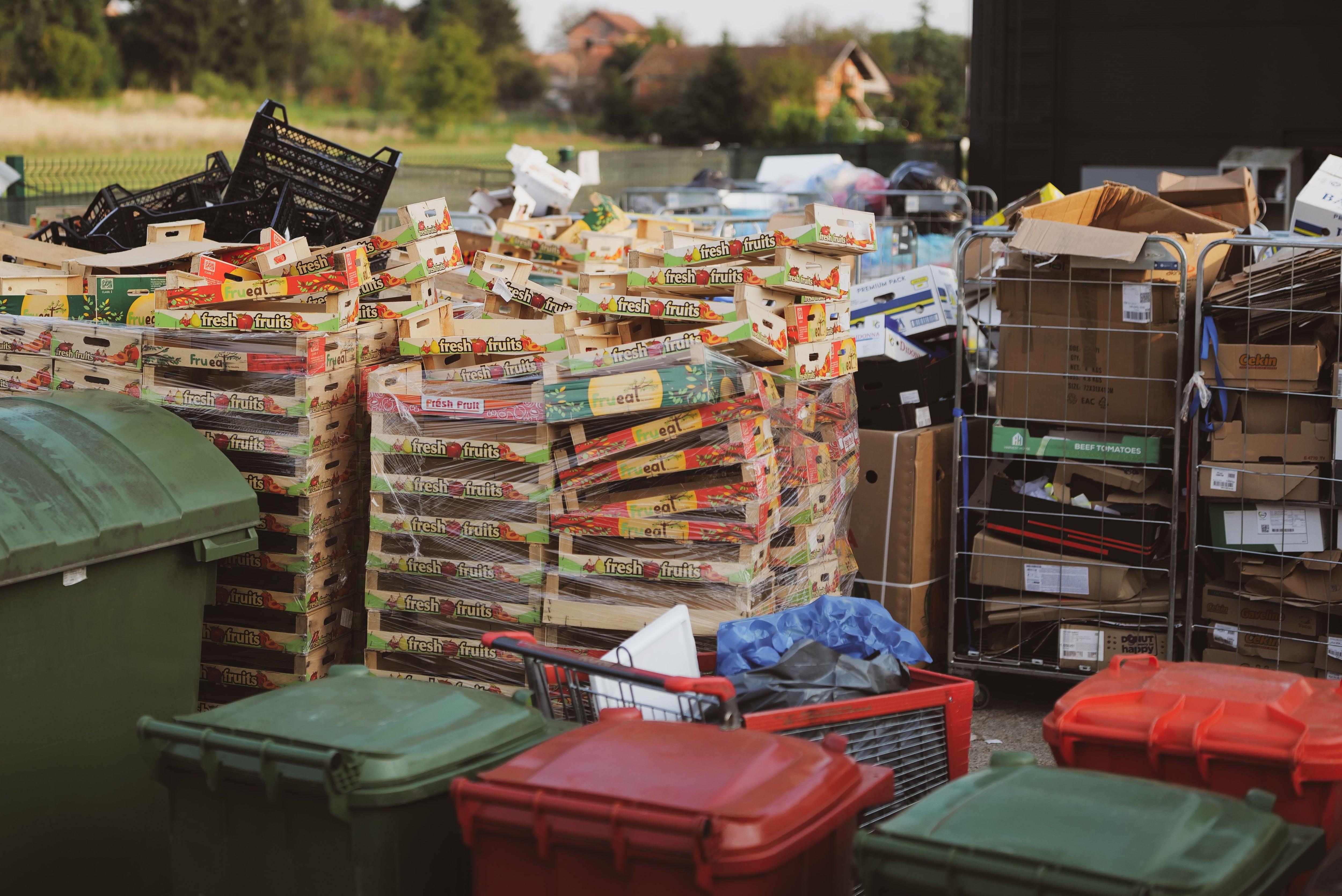 Del mercado al reciclaje: en busca de una segunda vida para los envases comerciales