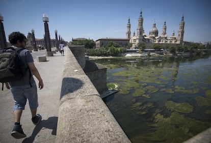 Un joven observa el poco caudal del río Ebro mientras atraviesa el puente de Piedra.