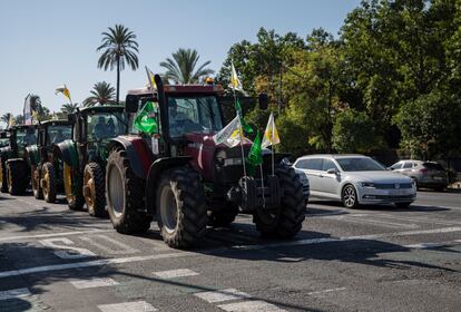 Agricultores y ganaderos de Andalucía se manifiestan para que se rectifique la propuesta de plan estratégico de la PAC en las calles de Sevilla.