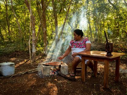 La voz cacao para nombrar al árbol y su semilla deriva del maya 'kakaw', pero fue nahuatlizada con la adición del sufijo –atl. En la imagen, Leonila Nahuat Tun tuesta las semillas de cacao para la celebración del día de los muertos en la comunidad Xocén, en Yucatán, en 2021.