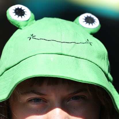 Greta Thunberg gorro de rana