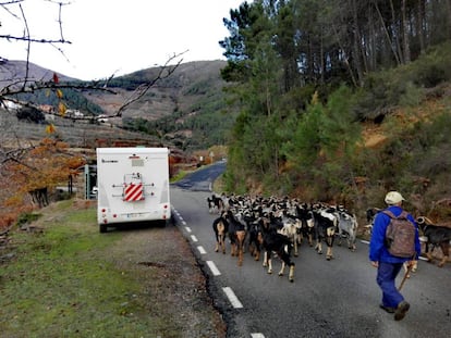 La Gaviota, en su ruta por Las Hurdes.