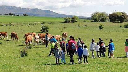 Varias decenas de alumnos durante las actividades de recuperación de la dehesa de La Ventosa de Fuentepinilla (Soria).