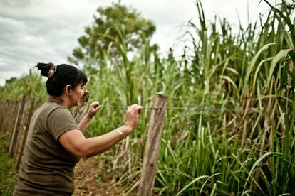 Petrona Bernal es socia de la cooperativa Manduvirá desde hace 15 años