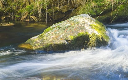 Roca granítica en un riachuelo de la Sierra de Guadarrama.