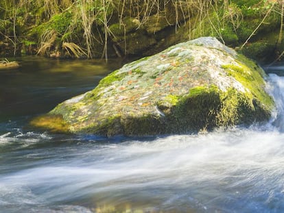 Roca granítica en un riachuelo de la Sierra de Guadarrama.