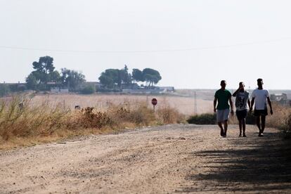 Tres menores residentes en el centro del Cortijo, al fondo, se dirijen a Guillena para buscar comida, el pasado 20 de septiembre.