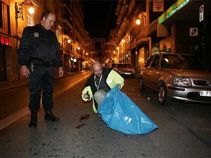Mortandad de estorninos en Valencia