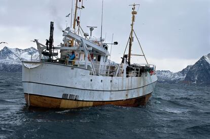 Pesquero faenando en las inmediaciones de las Islas Lofoten, al norte de Noruega, durante la época del bacalao skrei