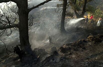 Unos bomberos trabajan en la extinción del fuego.