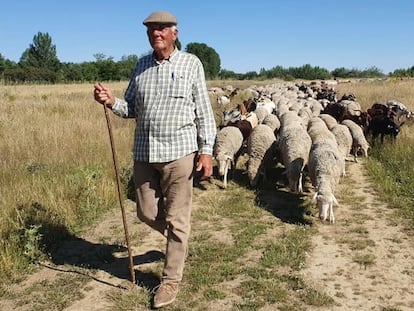 El naturalista y pastor Jesús Garzón, con un rebaño de ovejas.