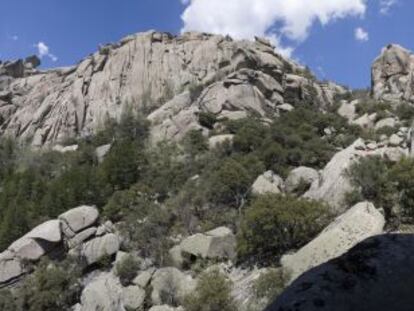 Un escalador en La Pedriza, en el Parque de la Cuenca Alta del Manzanares.