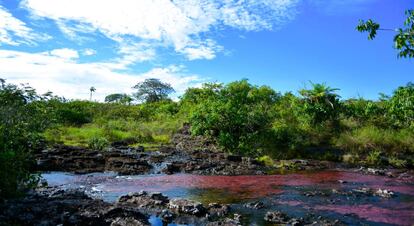 Parque natural de Caño Cristales, en el departamento de Meta (Colombia).