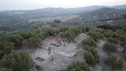 Otero arbolado sobre el que se levanta el yacimiento íbero-romano de El Higuerón.