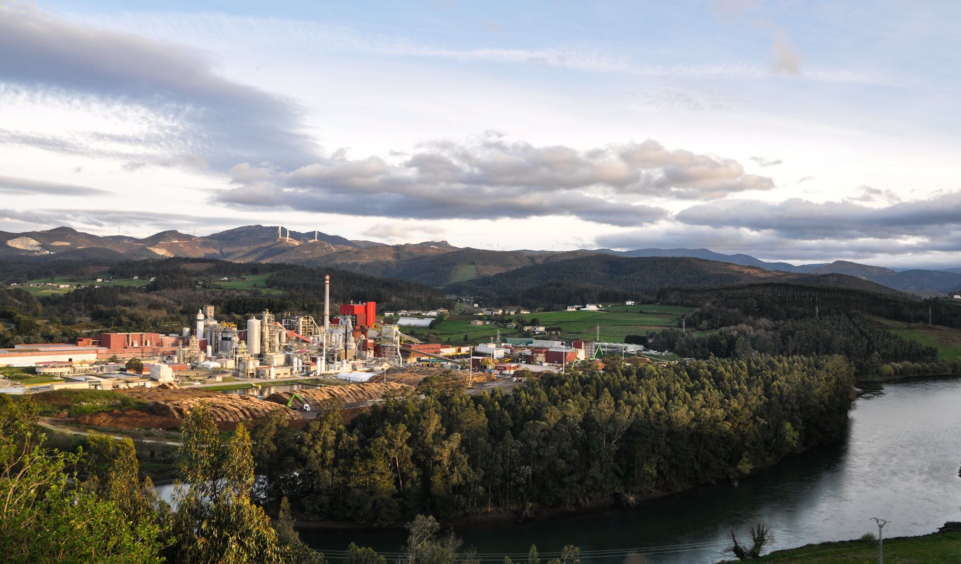 Ence vuelve a beneficios por la mejora del precio de la celulosa