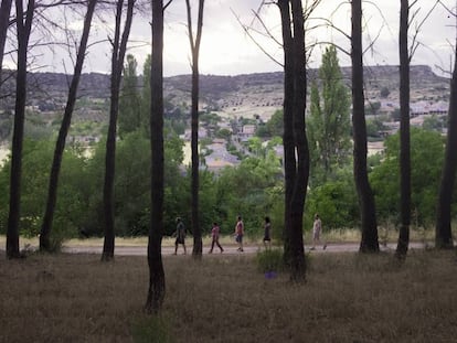 Pacientes del centro de rehabilitación Díanova pasean al caer la tarde en el pinar de Ambite (Madrid). 