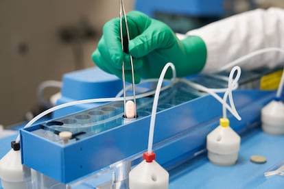 Laboratorio de Pfizer en Friburgo (Alemania) en el que fabrican su antiviral contra la covid.