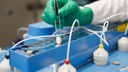 Laboratório em Friburgo (Alemanha) onde a Pfizer fabrica o seu antiviral contra a covid-19.