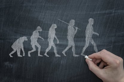 An illustration of Darwin’s theory of evolution.