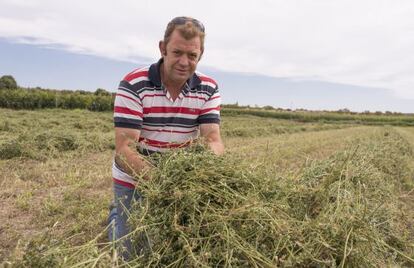 Juan Carlos Anglés junto a su alfalfa en el proceso de secado.