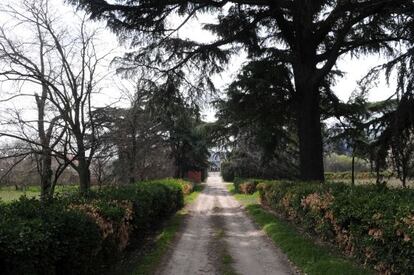 Jardines de la quinta de Torre Arias. 