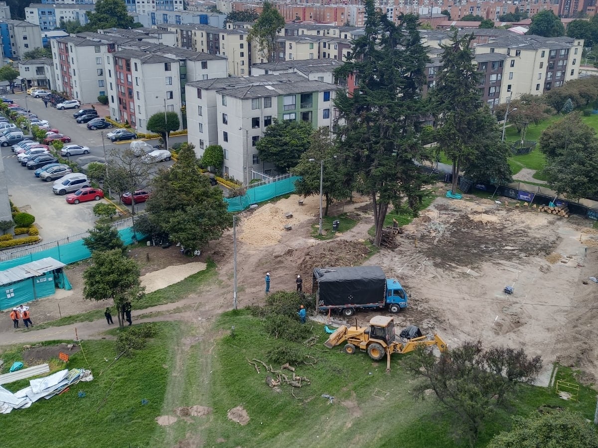 La tala de árboles en un parque público para construir un colegio ...