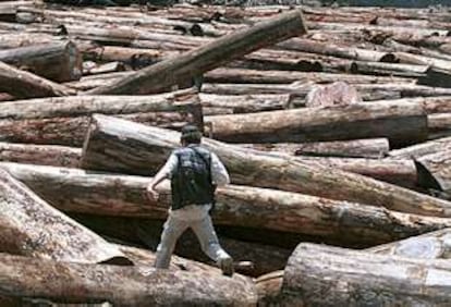 Miles de troncos de caoba cortados ilegalmente en Brasil, en una foto de archivo de 2001.