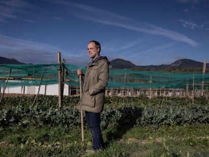 Marc Gràcia, investigador del Creaf, en el huerto de la finca Mas Planeses, gestionada con técnicas de agricultura regenerativa.