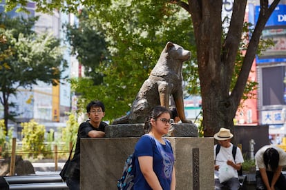La estatua de 'Hachiko', localizada junto al famoso cruce de Shibuya, en Tokio (Japón)