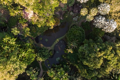 Los jardines de la casa de Burle Marx, nombrada patrimonio de la humanidad por la Unesco.