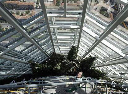 Patrick Blanc, diseñador del jardín vertical de la Torre de Cristal de Mutua Madrileña, posa junto a su obra.