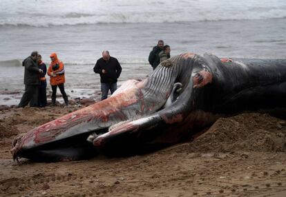 Vecinos de Caravia observan este viernes a una ballena varada en la playa de Morís.