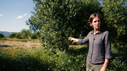 Steffie Phlippen comprobando la recuperación de los olivos de su finca en Ontinyent, Valencia. 