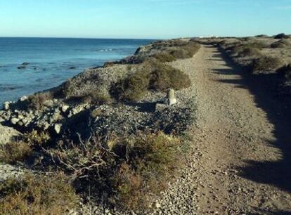 Zona donde se pretende construir un paseo marítimo con miradores en la isla de Tabarca.