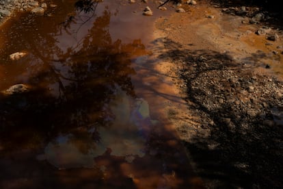 Las aguas contaminadas del río San Sebastián. 