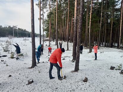 Una decena de periodistas rusos se reúnen cada sábado, al amanecer, en un bosque a 20 kilómetros de Riga.