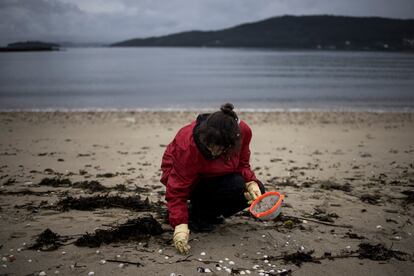 Una voluntaria recogía 'pellets' de plástico en la playa de Noia (A Coruña), este miércoles.