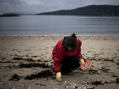 Una voluntaria recogía 'pellets' de plástico en la playa de Noia (A Coruña), este miércoles.