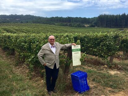 José María Fonseca, fundador y propietario de Terras Gauda, posa en sus viñedos en O Rosal, Pontevedra.