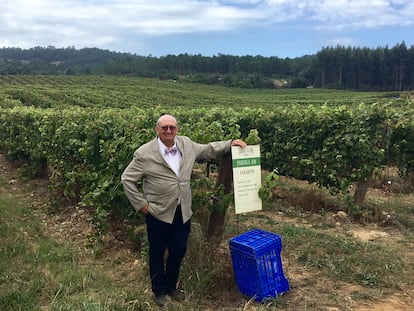 José María Fonseca, fundador y propietario de Terras Gauda, posa en sus viñedos en O Rosal, Pontevedra.