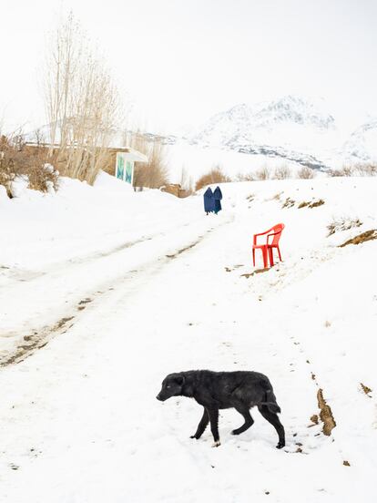 Imagen perteneciente a 'The Kabuler'. Cristina de Middel & Lorenzo Meloni / Magnum Photos, 2023.