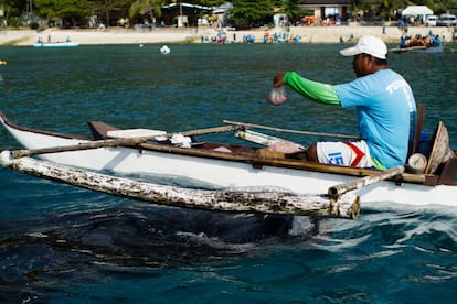 A diferencia de modelo de Donsol, los organizadores de la interacción turística en Oslob alimentan con plancton a los tiburones ballena para asegurar su presencia cercana a la costa.