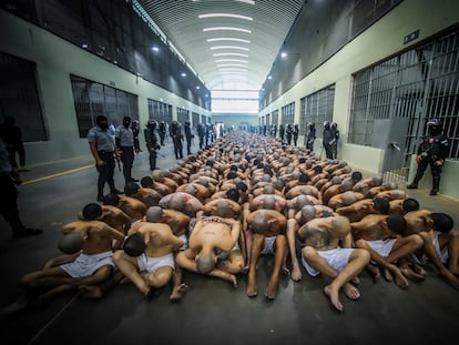 Pandilleros en el Centro de Confinamiento del Terrorismo, la nueva cárcel inaugurada por Nayib Bukele en Tecoluca, El Salvador.