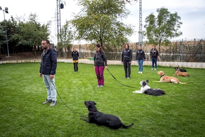 Cinco perros y sus dueños participan en una prueba de sociabilidad impulsada por la Real Sociedad Canina en un centro de Brunete.