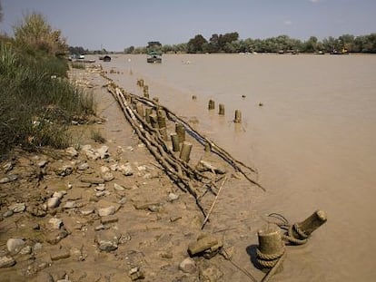 El Guadalquivir, a su paso por el municipio sevillano de Coria del R&iacute;o.