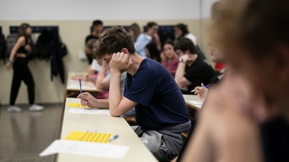 Responsable de la Selectividad en Cataluña