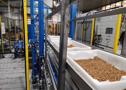 Cajas especialmente diseñadas para la cría del gusano de la harina en la línea de producción.