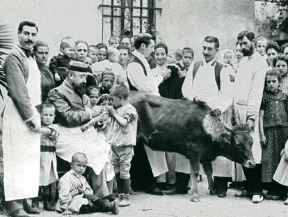 Inoculación de pus de vaca en el Hospital de Niños Pobres de Barcelona, hacia 1890.
