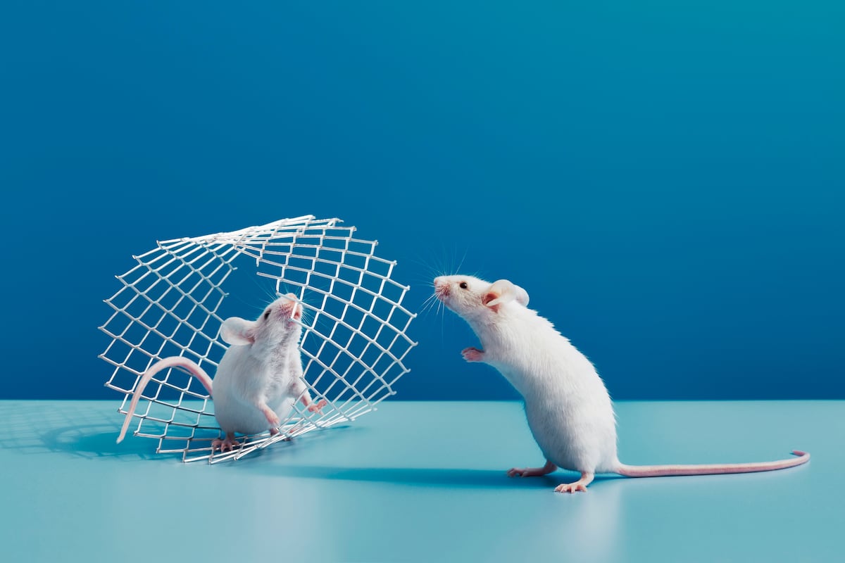 Pequeños experimentos cotidianos