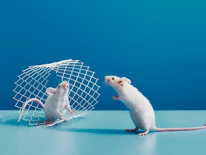 Pequeños experimentos cotidianos